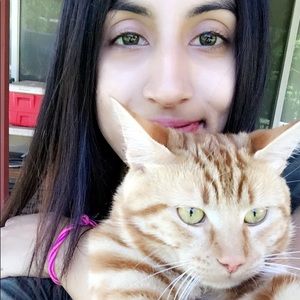 Meet your Posher, Priscilla